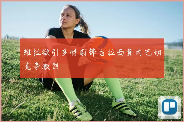 维拉欲引多特前锋吉拉西费内巴切竞争激烈